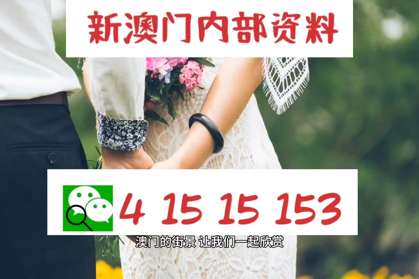 2025精准资料免费大全和2025澳门精准正版免费四不像,全面释义、解释与落实与警惕虚假宣传