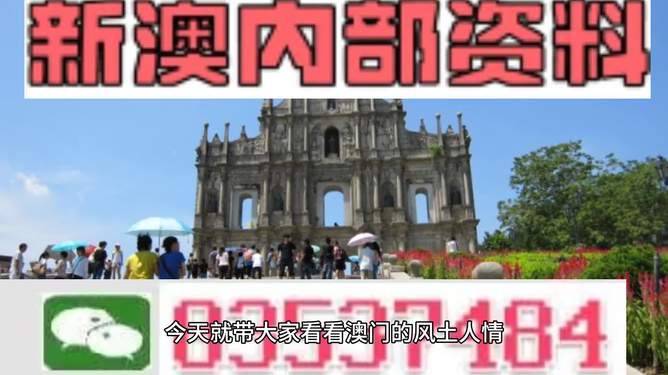 >新澳2025精准正版免費資料高中低与2025新澳门天天精准免费大全,精选解析、解释与落实