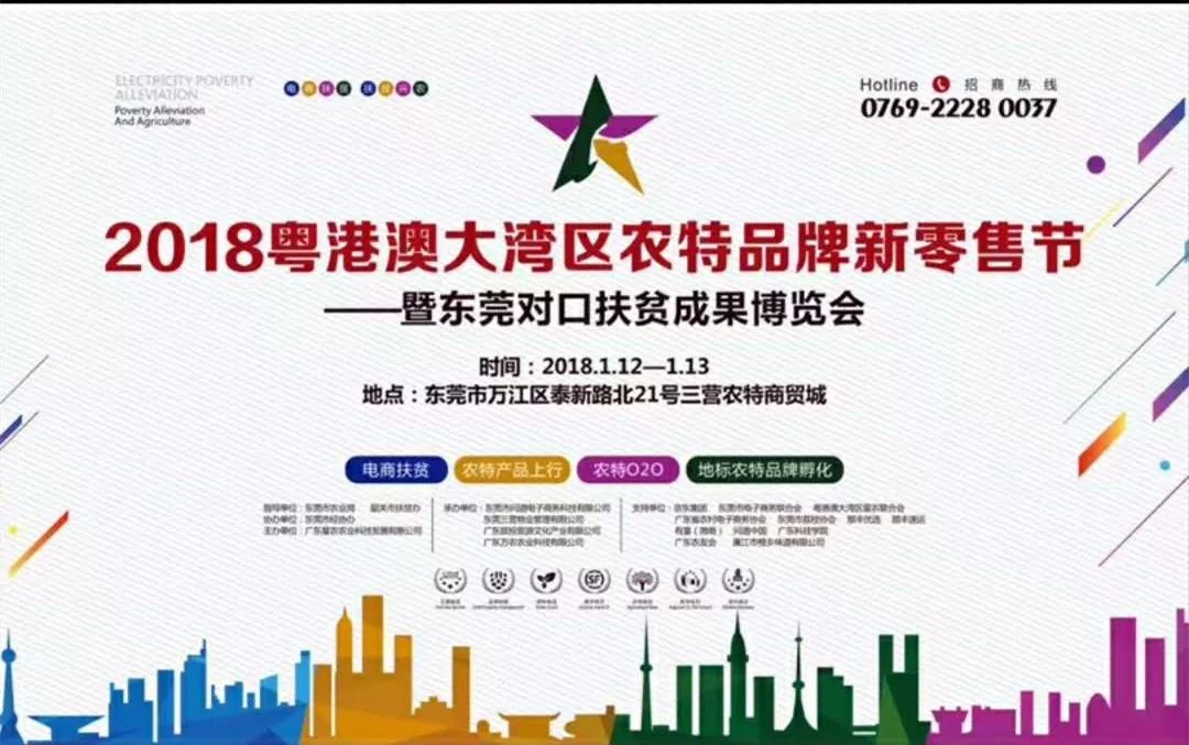 2025澳门特马网站www澳门一富城,精选解析、解释与落实